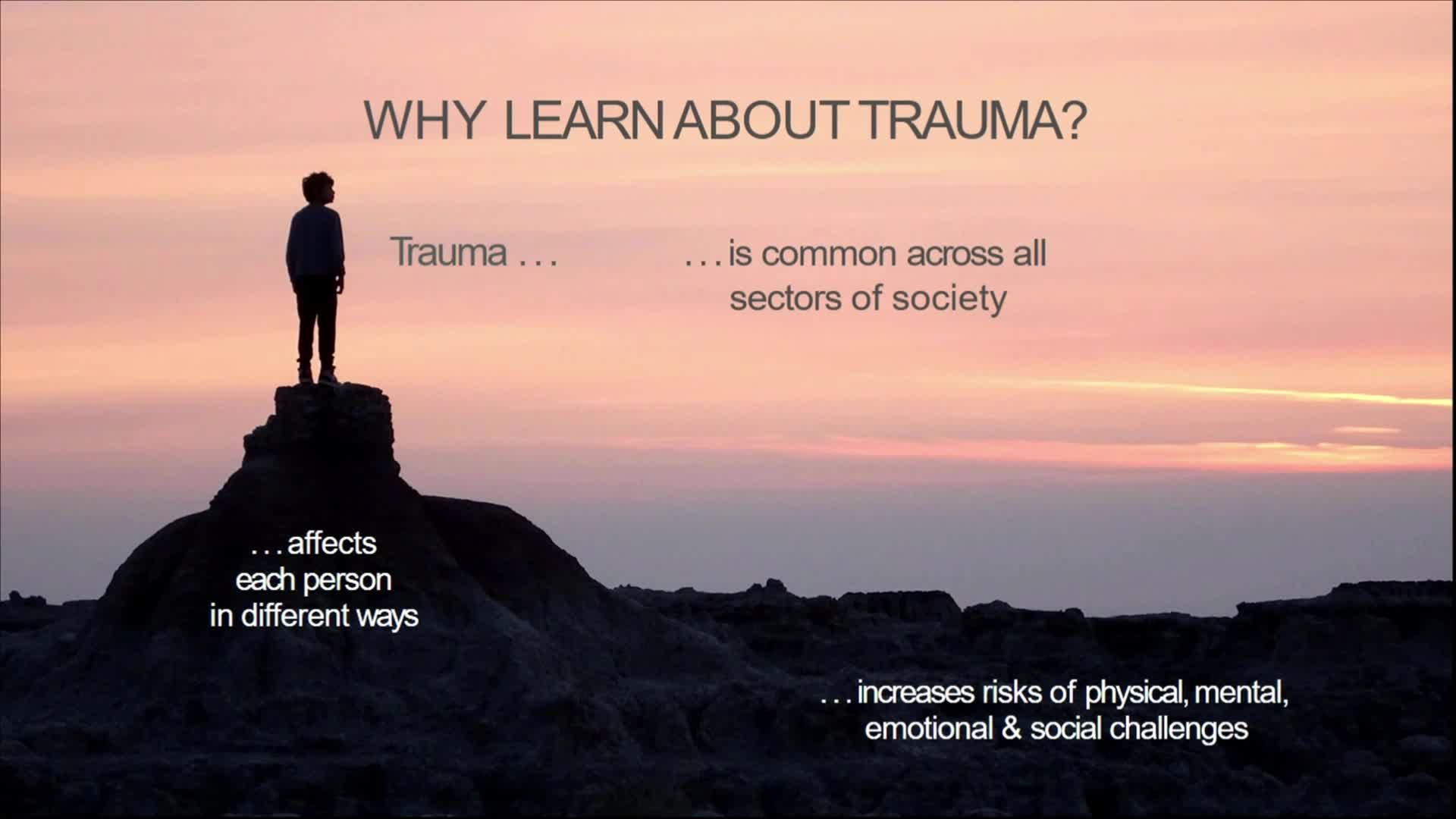 Trauma, Resilience and Putting Trauma Informed Principles Into Practice
