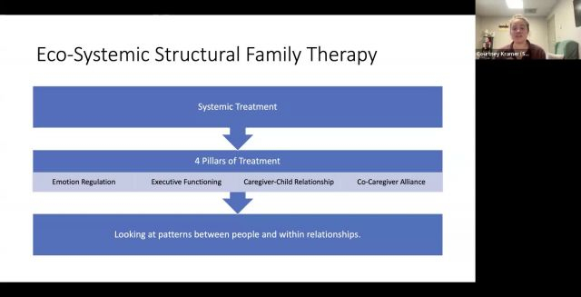 Mechanism that Matter: Unlocking Change in Eco-Systemic Structural Family Therapy
